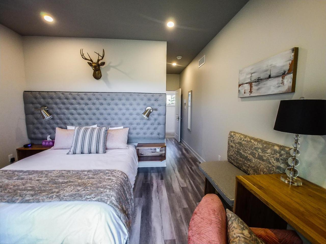 Le Bellevue Modern Lodge Wakefield Zewnętrze zdjęcie